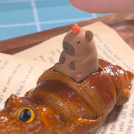 Capybara & Croissant Croco (Fidget Toy)