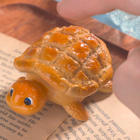 BunBun the Turtle (Fidget Toy)